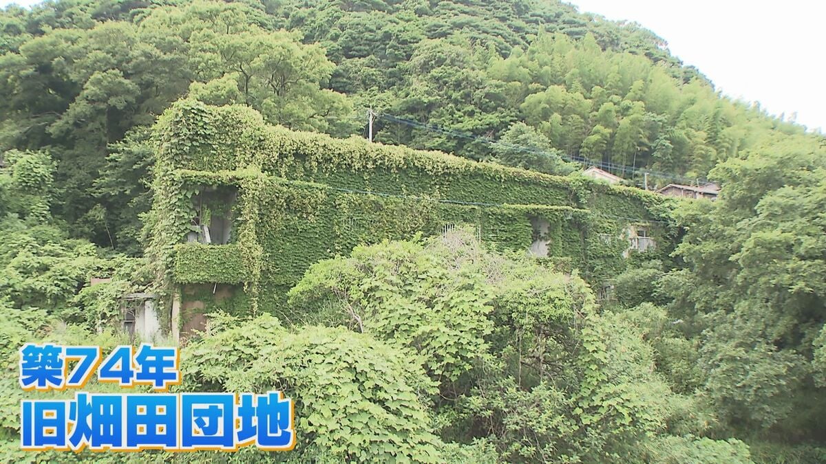 港が見える小高い丘の上の物件（元、畑付き） 築74年“廃墟”のような団地が満室 家賃1万円と自由なDIYが魅力 「空き家