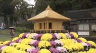 平泉の秋「中尊寺菊まつり」が開幕　「菊金色堂」も展示　見ごろは11月上旬ごろの見込み　岩手県