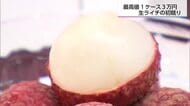国内産は貴重　宮崎県産の生ライチ　初競りの最高値は9粒で3万円