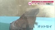 お盆の「つくみイルカ島」帰省客などで賑わう　8月から新エリアがオープンし初めてのオットセイも　大分
