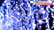 まるでフジの花が咲いてるよう・15万個のLEDが彩るイルミネーション　山形・鶴岡市藤島歴史公園