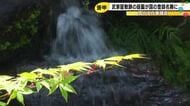大きさの異なる5つの庭園…金沢の武家屋敷跡『野村家庭園』国の“名勝”に登録するよう文化審議会が答申
