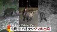 「車の2ｍ前で止まった」北海道で相次ぐクマとの“遭遇”　家庭菜園被害やブレーキ音に動じないクマも