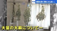 自宅まるごと“大麻栽培ハウス” 家宅捜索で925万円分の大麻を押収 捜査員が見た「やばい」光景とは…