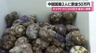 オカヤドカリ1300匹を違法に捕獲　中国国籍2人に罰金50万円【鹿児島】