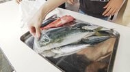 “1000円”で魚詰め放題に大行列　ブリやタイなど高級魚も　制限時間は70秒　赤字覚悟で開催　東京・豊洲