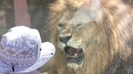 熊本市動植物園、12日から3日間「無料」　被災地の子供たちに笑顔を