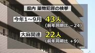 大麻の検挙人数が福井県内で急増　「大麻は違法薬物ではない」デマ拡散か　2026年上半期の薬物犯罪、全体の検挙数は減少