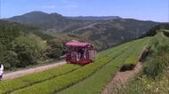 牛肉・茶が好調　県産農畜水産物の輸出額が14年連続過去最高に