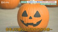 飾りつけ用の大きなカボチャは完売 イベント施設から予約殺到 農家は「もうちょっと何本か植えておけば」