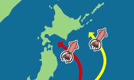 サンマだけじゃない！根室でスルメイカ漁が好調“1匹220円”「生きが良く甘い」去年は水揚げゼロだったのに イカというと函館のイメージだけどナゼ？ 太平洋を北上する群れに異変か＜北海道＞