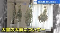 自宅まるごと“大麻栽培ハウス”　家宅捜索で925万円分の大麻を押収　捜査員が見た「やばい」光景とは…