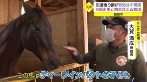 元競走馬 第2の舞台は牧場!歴史的名馬「ディープインパクト」の子どもも活躍(島根・益田市)