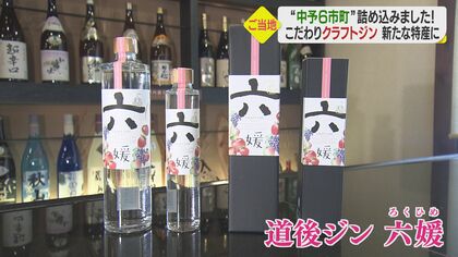 ブドウや梅にイチゴ…1本で愛媛6市町の特産品を味わえるお酒が誕生　家飲みに「クラフトジン」はいかが？