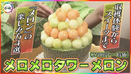 時価のメロメロタワーメロンとは…初夏の味覚の王様『メロン』の楽しみ方4選 収穫体験から贅沢スイーツまで