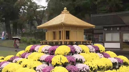 平泉の秋「中尊寺菊まつり」が開幕　「菊金色堂」も展示　見ごろは11月上旬ごろの見込み　岩手県