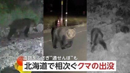 「車の2ｍ前で止まった」北海道で相次ぐクマとの“遭遇”　家庭菜園被害やブレーキ音に動じないクマも
