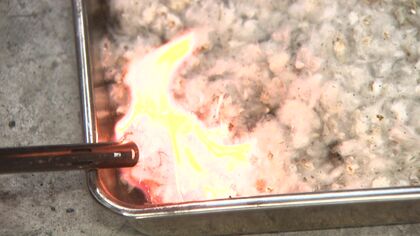 【ポプラ綿毛で火災相次ぐ】地面を覆う白いふわふわが危険！ポプラの綿毛に火が燃え移る火事相次ぐ＿消防局「綿毛は一気に燃え広がる性質」「近くにある時は火の使用控えて」