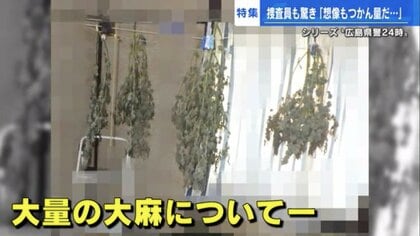 自宅まるごと“大麻栽培ハウス”　家宅捜索で925万円分の大麻を押収　捜査員が見た「やばい」光景とは…
