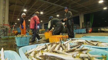 多様な人材が支える富山の漁業、人手不足解消への新たな取り組み 「男でも女でも外国人でも気にしない」