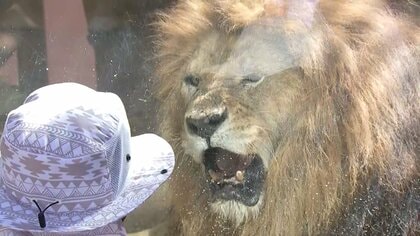 熊本市動植物園、12日から3日間「無料」　被災地の子供たちに笑顔を