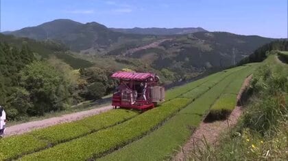 牛肉・茶が好調　県産農畜水産物の輸出額が14年連続過去最高に
