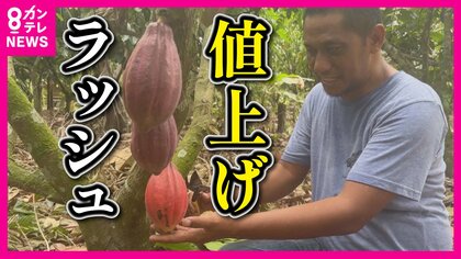 新年度値上げの春　要因は「2024年問題」による輸送コスト増　カカオ不足でチョコレートが大ピンチ