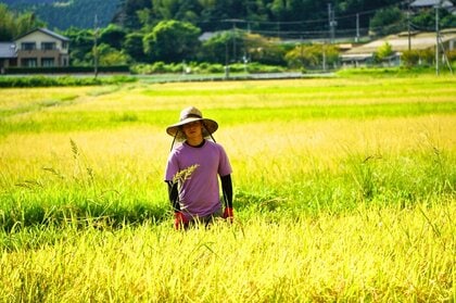 ふるさと納税で選ぶ、“里山の未来を育てるお米”