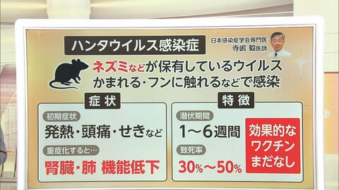 【解説】ハンタウイルス…ワクチンなし致死率最大50％　ヒトヒト感染想定も「集団感染はまれ」「国内感染拡大の可能性低い」