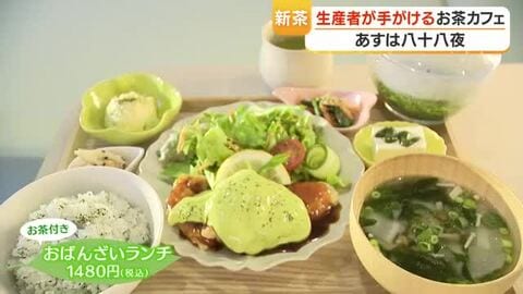 「お茶づくし」ランチが話題　日本一の産地・鹿児島で生まれたお茶カフェ
