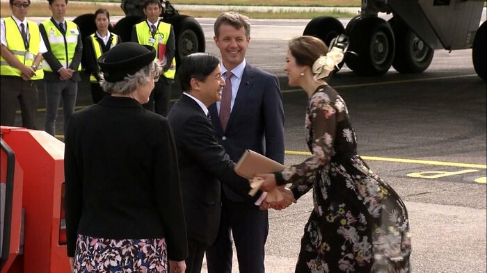 平成29(2017)年 空港で夫妻の出迎えを受けられた陛下