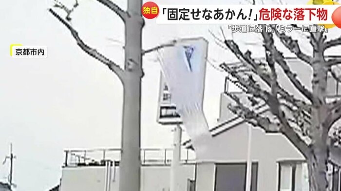 樹に引っかかったプラスチックの板(視聴者撮影)