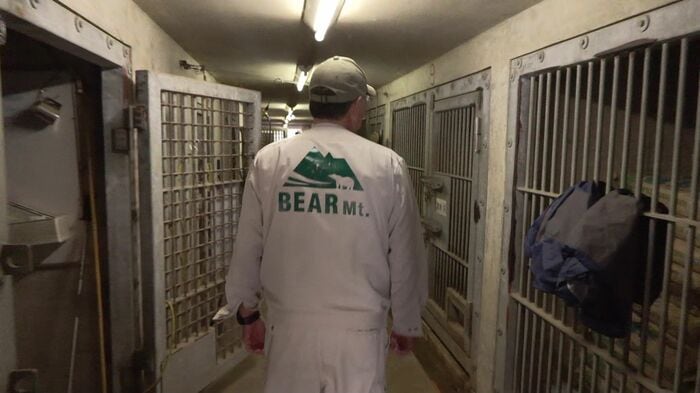 ベア・マウンテン内の様子