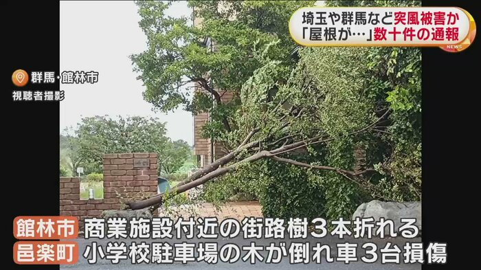 群馬では、館林市の街路樹や、邑楽町の小学校で倒木が確認されている