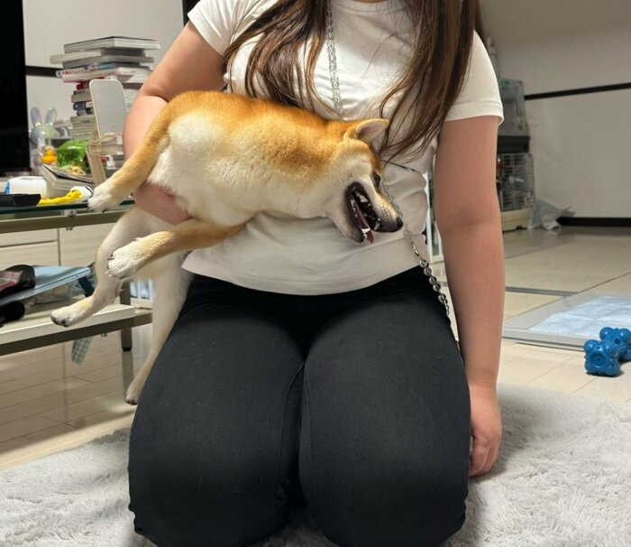 「捕獲される意味がわからない」(提供:わさび一族さん)