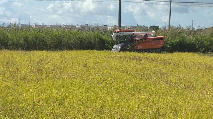 新潟市北区（25年10月）