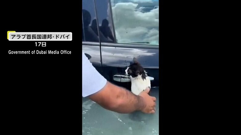 記録的大雨でドバイ国際空港が冠水…溺れかけのネコを警察官が救助　アラブ首長国連邦｜FNNプライムオンライン