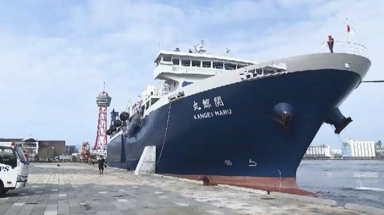 世界で唯一の捕鯨母船「関鯨丸」　博多港に初入港　21日に船内を一般公開　福岡｜FNNプライムオンライン