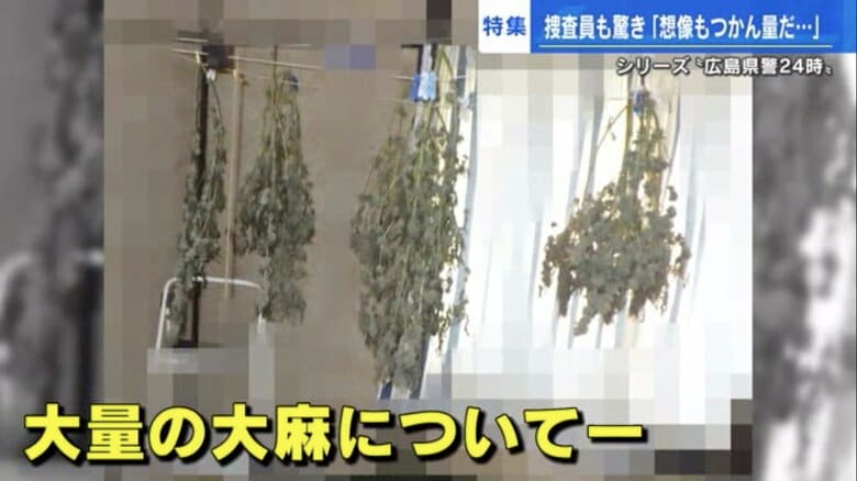 自宅まるごと“大麻栽培ハウス”　家宅捜索で925万円分の大麻を押収　捜査員が見た「やばい」光景とは…｜FNNプライムオンライン