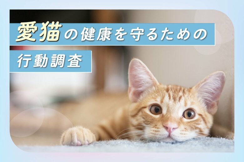 【気になる避妊・去勢手術の実施率は86.2%】愛猫の健康を守るための行動調査