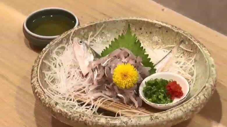 有明海の恵み「エツ」を守れ　漁獲量減少で“幻の魚”に　全国唯一の人工ふ化に取り組む漁協の挑戦　50万匹放流へ｜FNNプライムオンライン