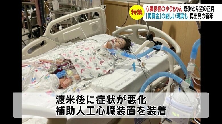 提供写真