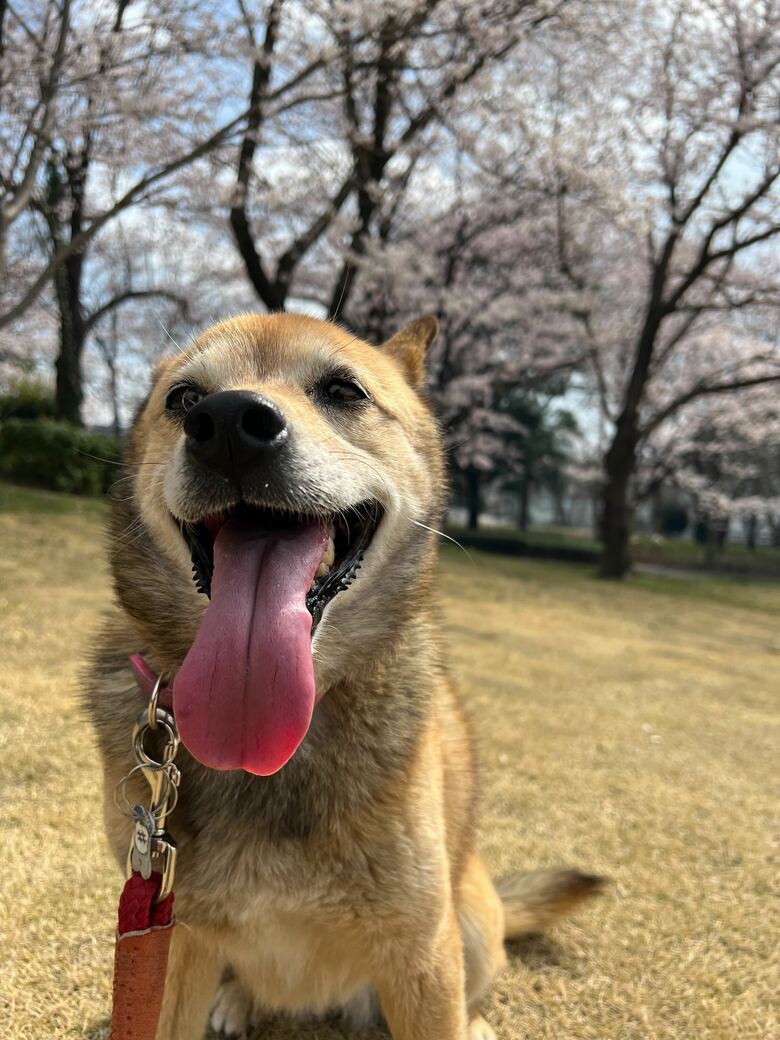 提供：タチバナさんの毎日ルーティン