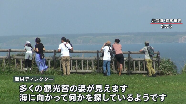 多くの観光客が海に向かって何かを探している…