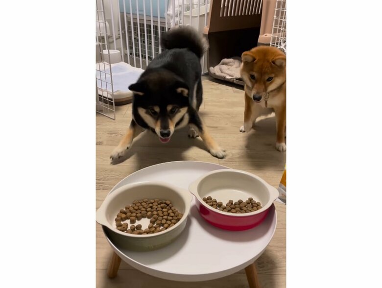 提供：まめふく&ゆめくりさん