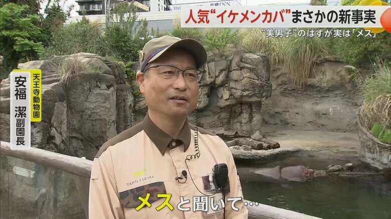 ゲンくんがメスであったことに驚きのコメントをする安福潔副園長