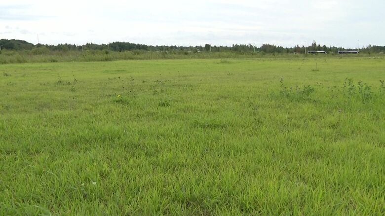 新たなD駐車場を設ける予定