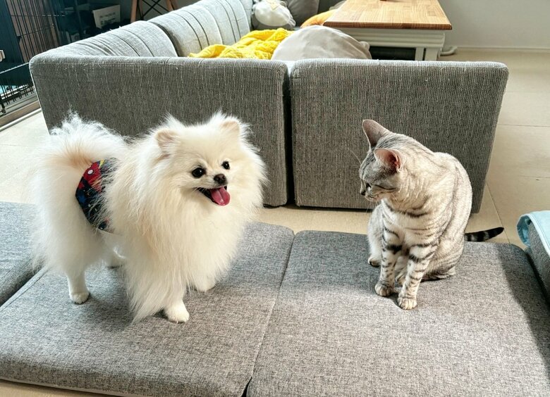 試合終了かな？