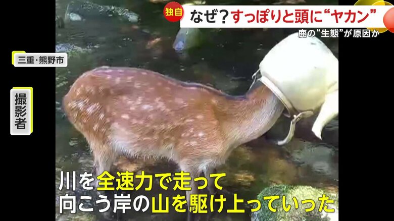 ｢（鹿は）鉄分をとるのに鉄をなめたりする」とも語る男性