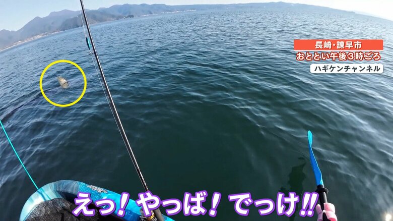 視界の先に巨大な背びれが